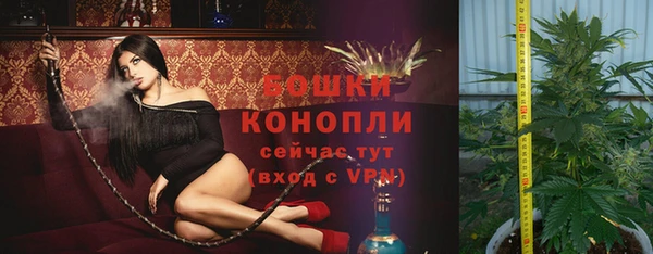 крисы Нягань
