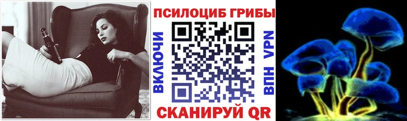 где продают наркотики  Апшеронск  Галлюциногенные грибы Psilocybine cubensis 